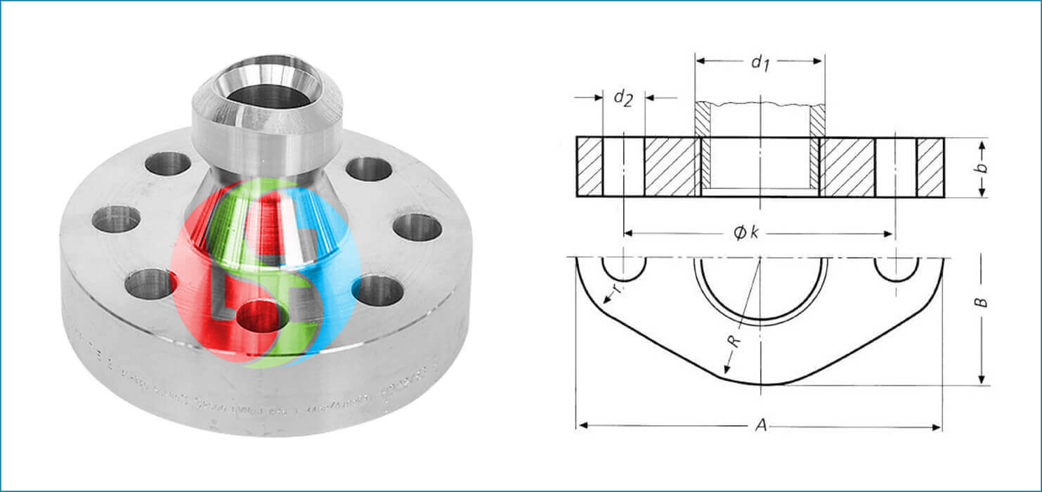 Flangeolet Stainless Steel