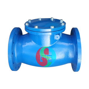 Jc Swing Check Valve Cast Iron Pn10 Pn16
