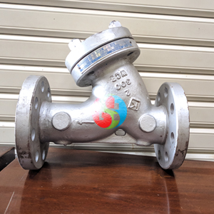 Y Strainer Flange RF ANSI Class 300