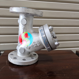Y Strainer Flange RF ANSI Class 300