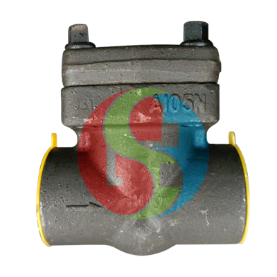 Swing Check Valve Carbon Steel NPT ANSI 800