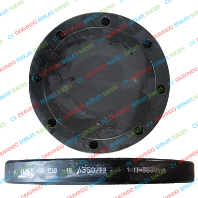 Blind Flange ASTM A350 LF2 CL1/2 ANSI